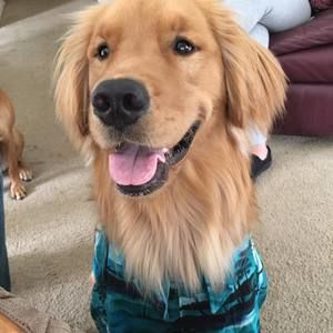 Meet your Posher, Annette